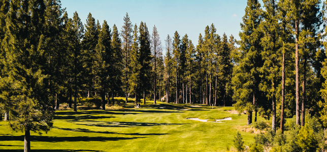 Campo de Golf